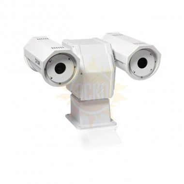 Flir A310f