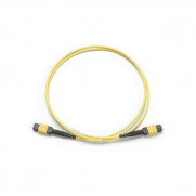 Fluke Networks TRC-SM-MPOAPC-PP-A